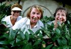 Budding Beauties: Members Janelle Sabourin, Susan Rivenburgh, and Beth Eisenberg take pleasure in tending the group’s garden beside Georgetown’s Rice Museum.