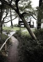 <p>
Shhhhhh. Quiet. Listen. As Meher Baba taught, &ldquo;real things and intuitive messages from God are given and received in silence.&rdquo;</p>
